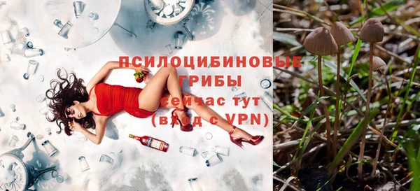 дмт Алексин