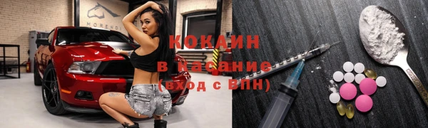 дмт Алексин